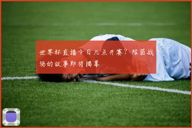 世界杯直播今日几点开赛?绿茵战场的故事即将揭幕