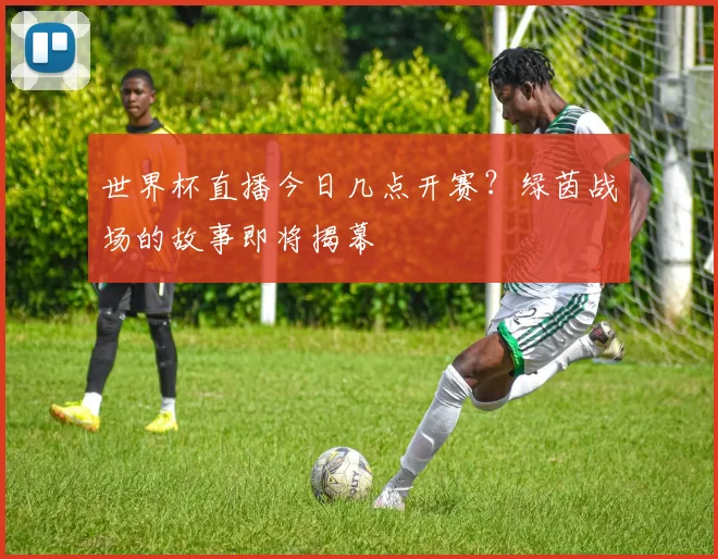世界杯直播今日几点开赛?绿茵战场的故事即将揭幕