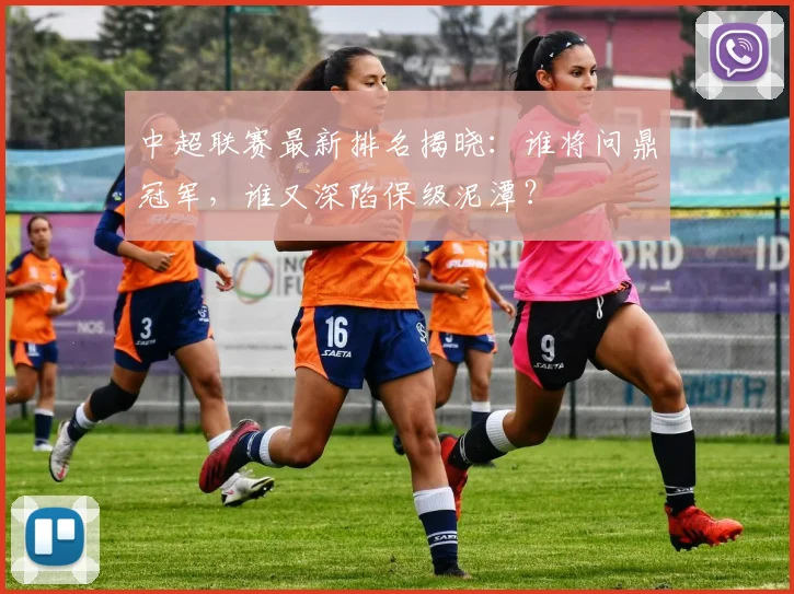 中超联赛最新排名揭晓:谁将问鼎冠军,谁又深陷保级泥潭?